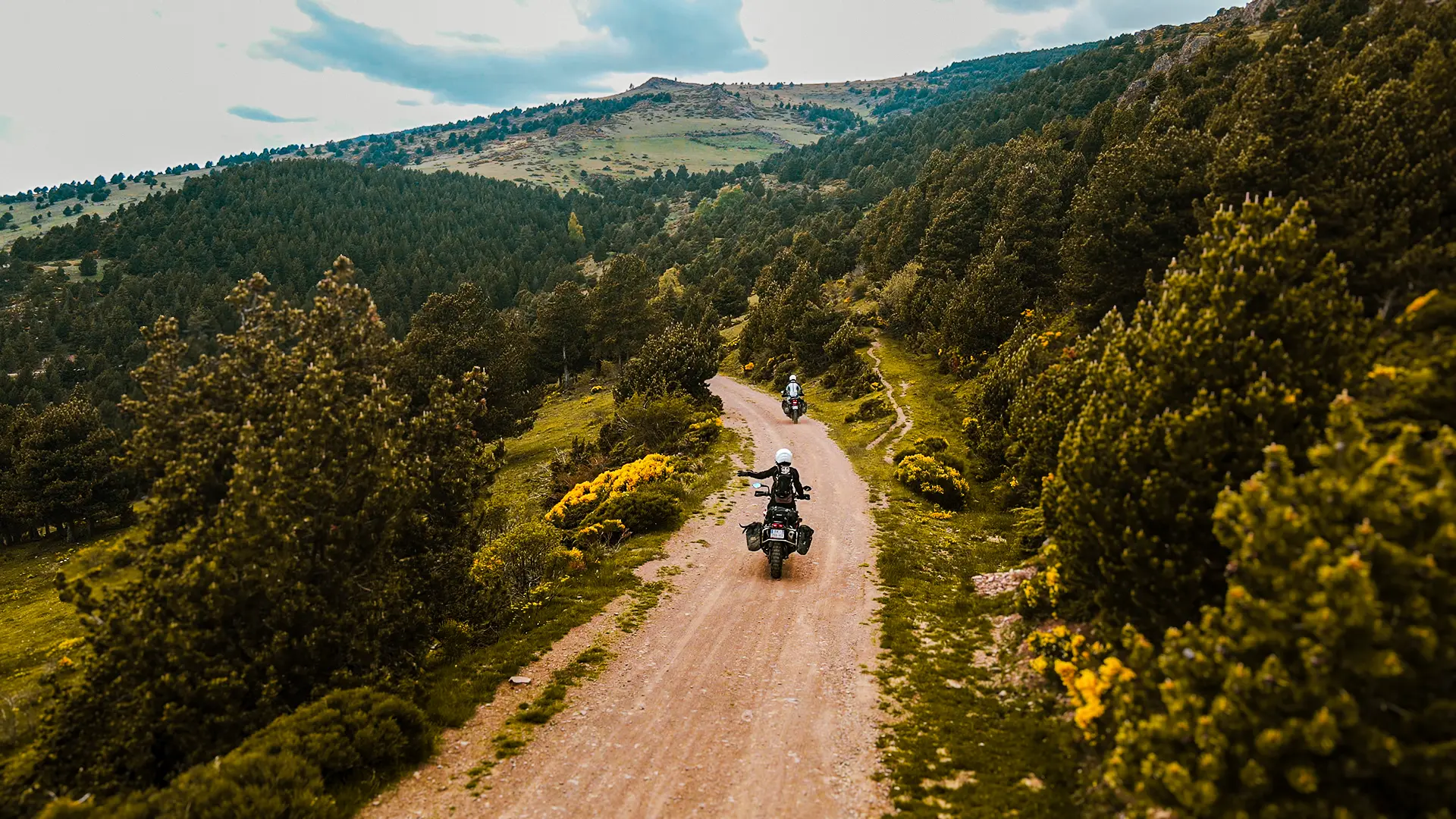 Une file indienne de plusieurs motos qui serpentent sur une crête de montagne très verte.