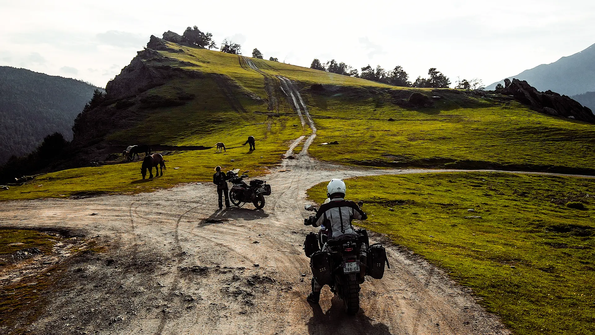 Motards à l'arrêt sur un plateau de montagne verdoyant au carrefour de plusieurs pistes sauvages.