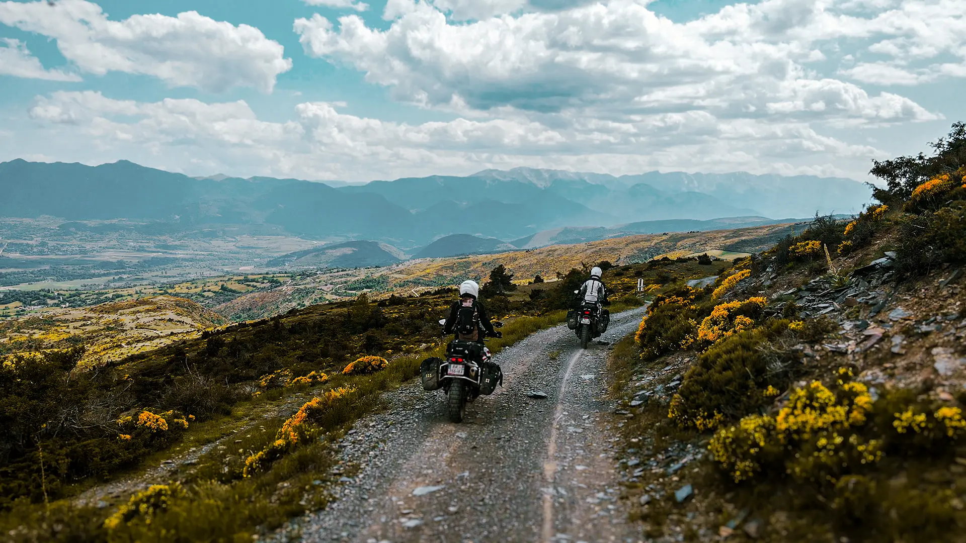 Deux motards sur une piste de terre entourée de genêts jaunes en fleurs face aux sommets des Pyrénées.
